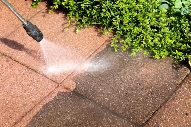 Best Roof Power Washing Services  in Dunstan, ME